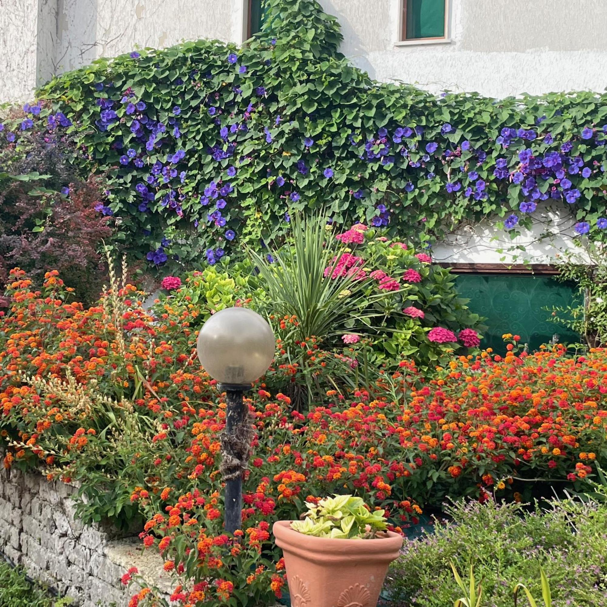 B&B Villa Sans Souci Civitavecchia Dış mekan fotoğraf