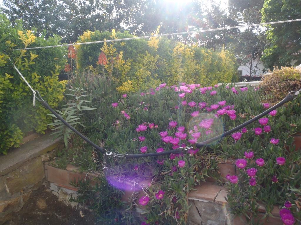 B&B Villa Sans Souci Civitavecchia Dış mekan fotoğraf
