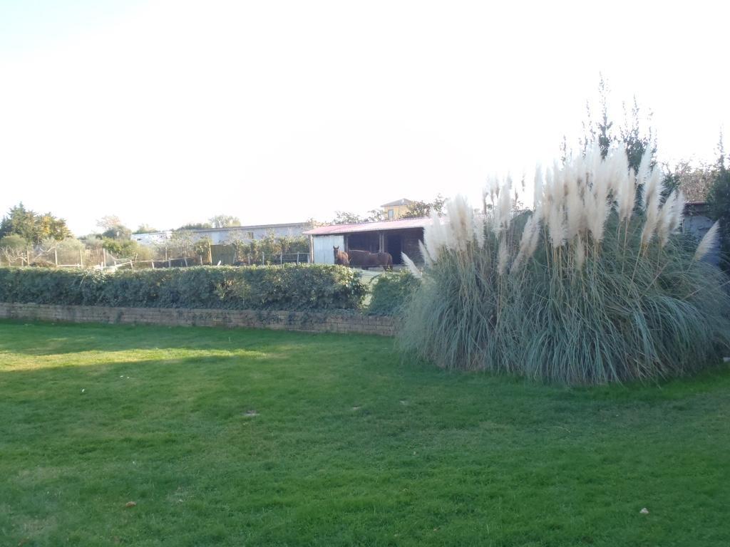 B&B Villa Sans Souci Civitavecchia Dış mekan fotoğraf
