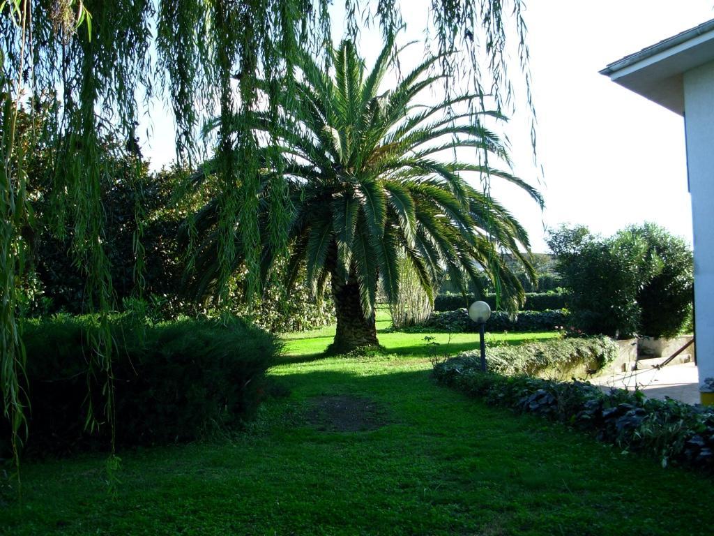 B&B Villa Sans Souci Civitavecchia Dış mekan fotoğraf