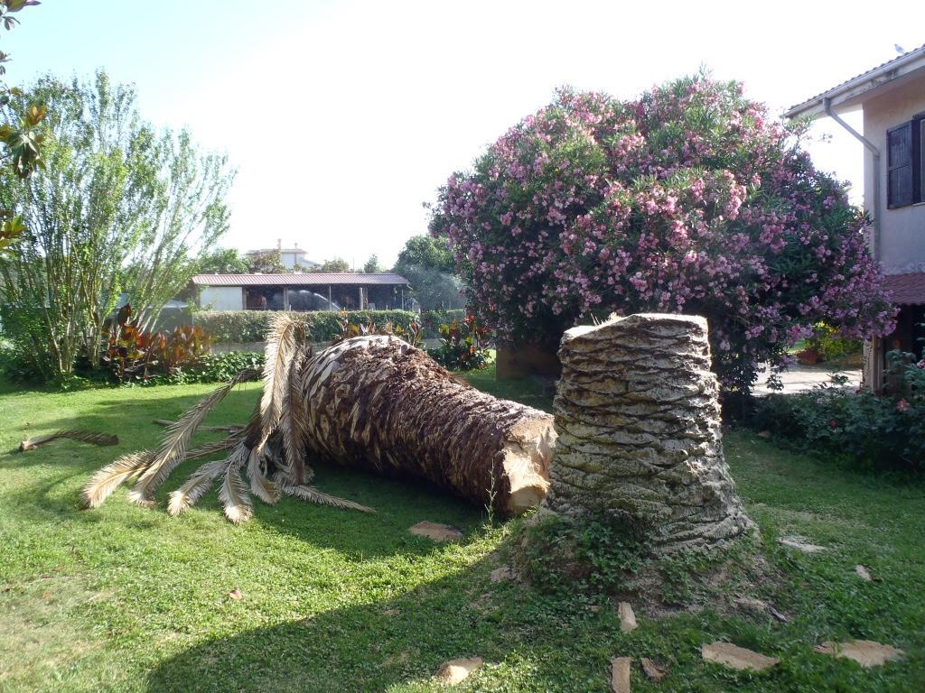 B&B Villa Sans Souci Civitavecchia Dış mekan fotoğraf
