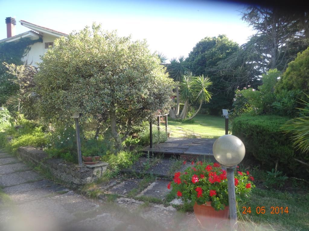 B&B Villa Sans Souci Civitavecchia Dış mekan fotoğraf